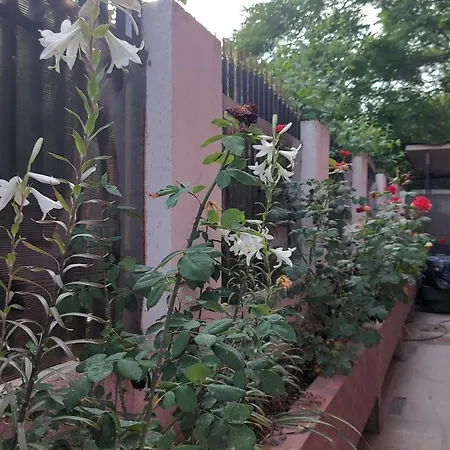 Flori * Бухарест